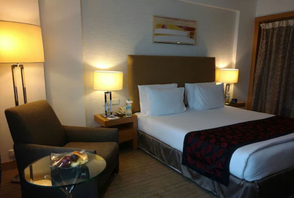 Radisson Blu Hotel Pune Kharadi 14/77