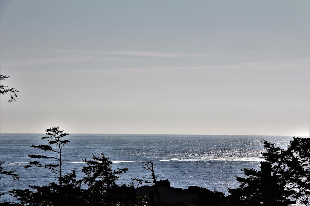 Blue Pacific 19/26