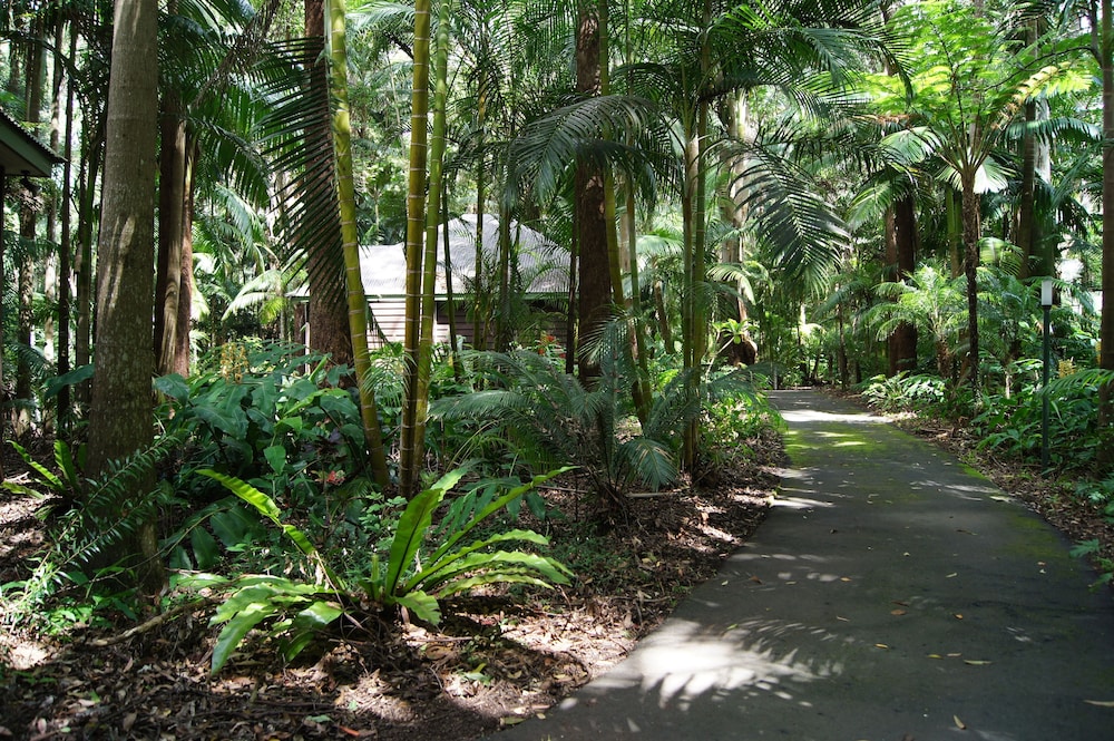 Songbirds Rainforest Retreat 32/50