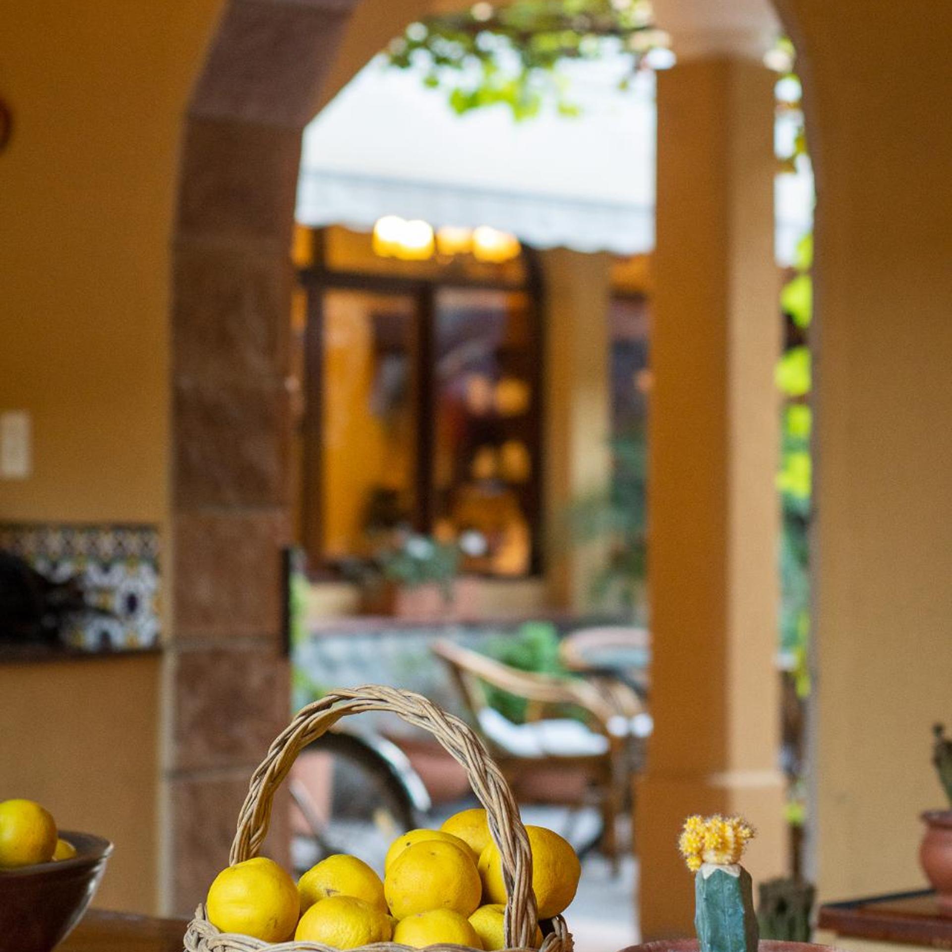 Villa Vicuña Wine and Boutique Hotel 30/51