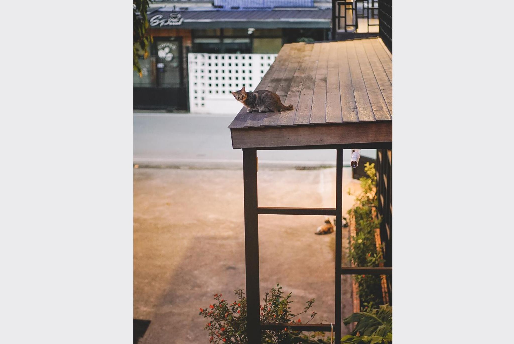 Sleepy House 64/66