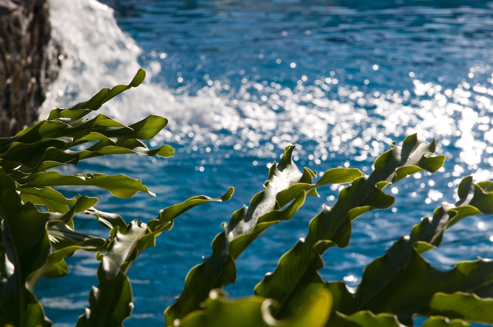 Piramides Resort 48/60