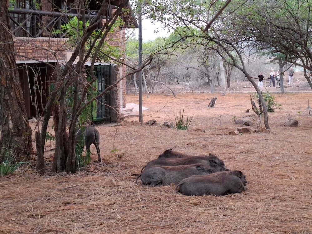 Kruger Riverside Lodge 38/50