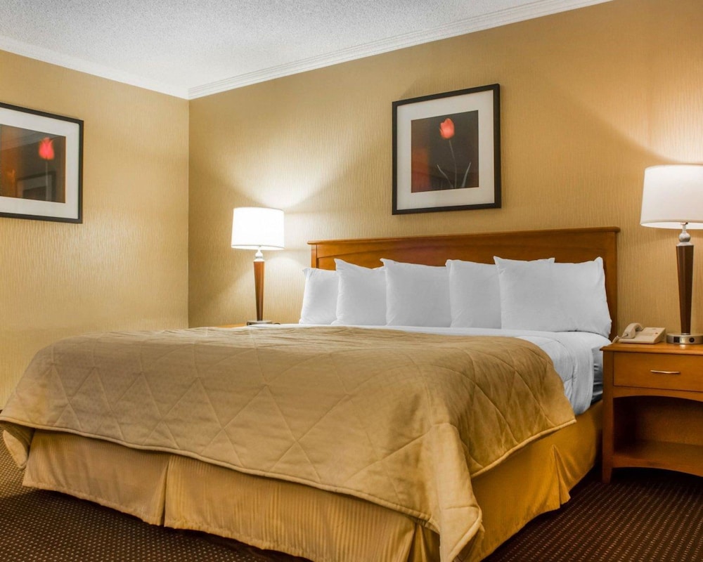 Efficiency, Suite, King Bed, Sofa
