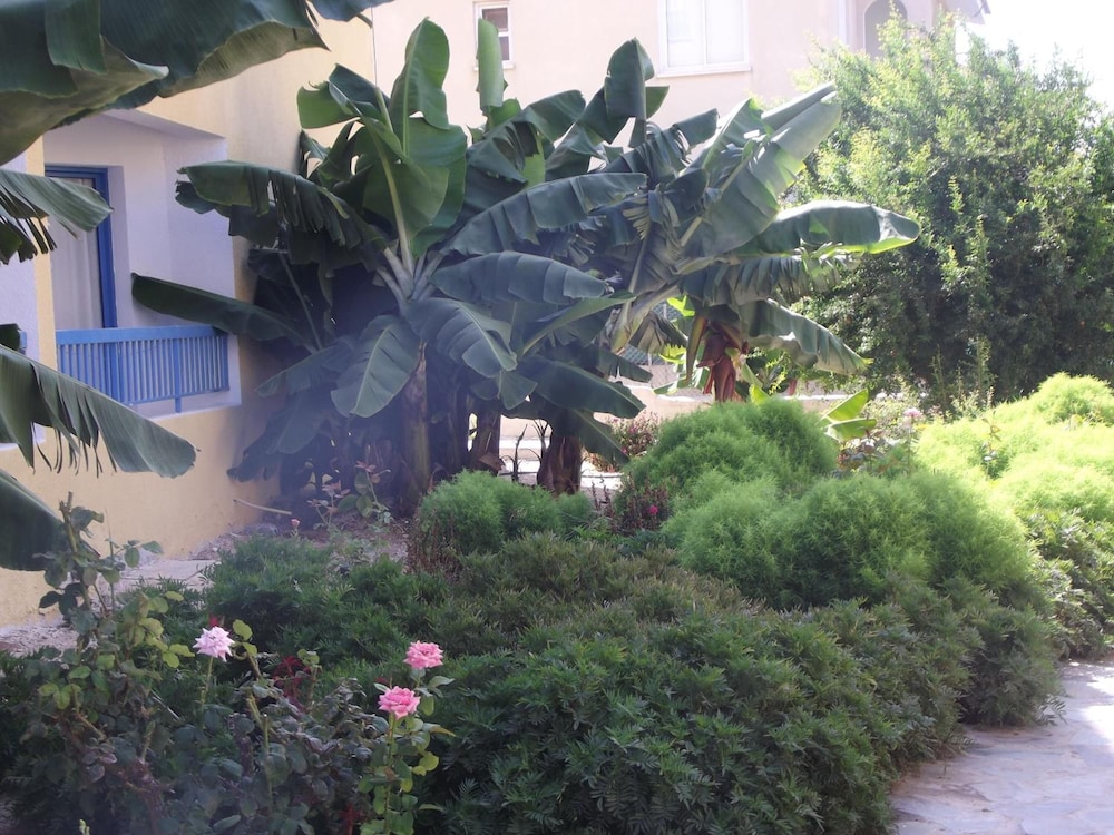 Kefalonitis Hotel Apartments 34/45