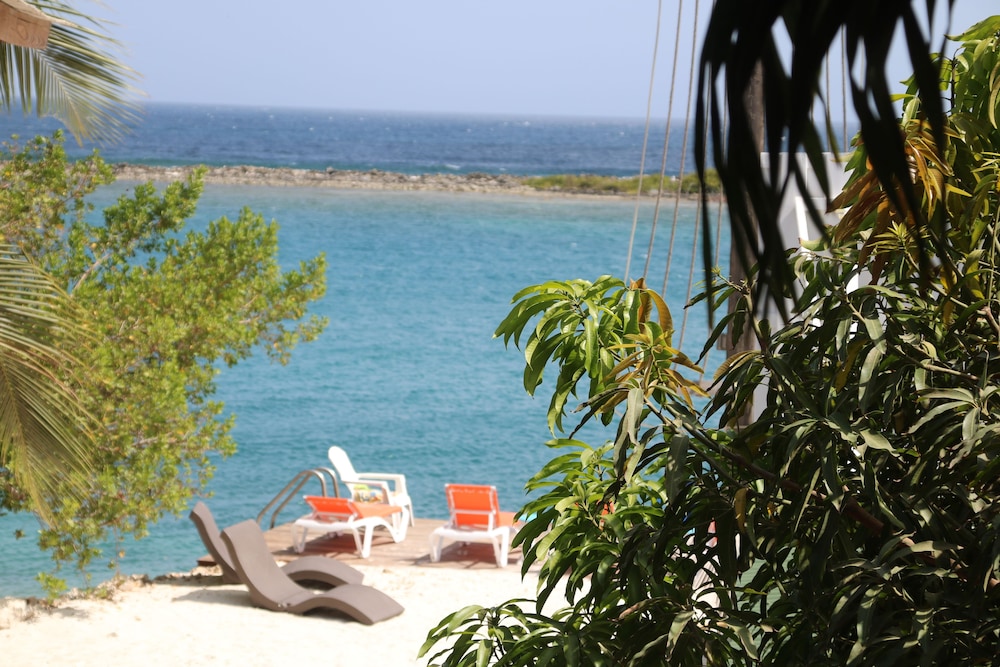 Coral Reef Beach Aruba 39/50