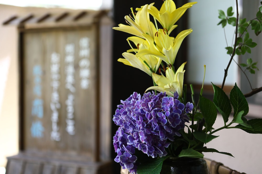 Besshoonsen Nanjyo Ryokan 5/50