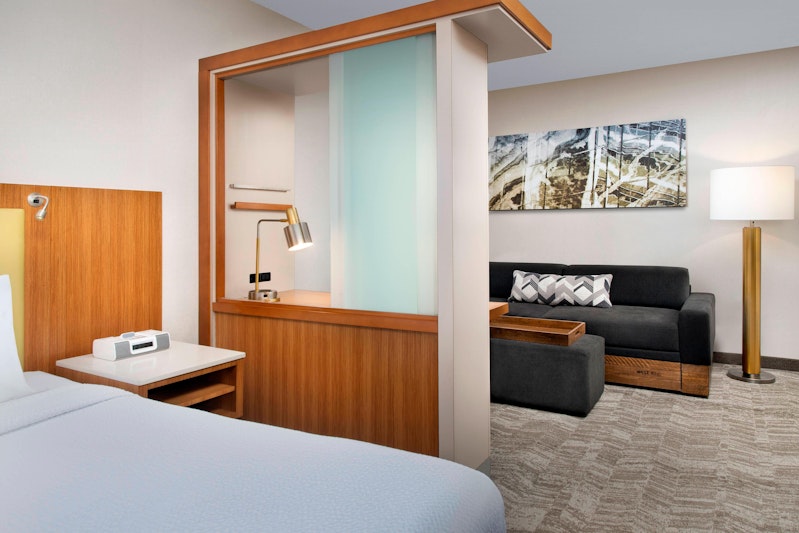 Springhill Suites By Marriott Potomac Mills Woodbridge 10/39