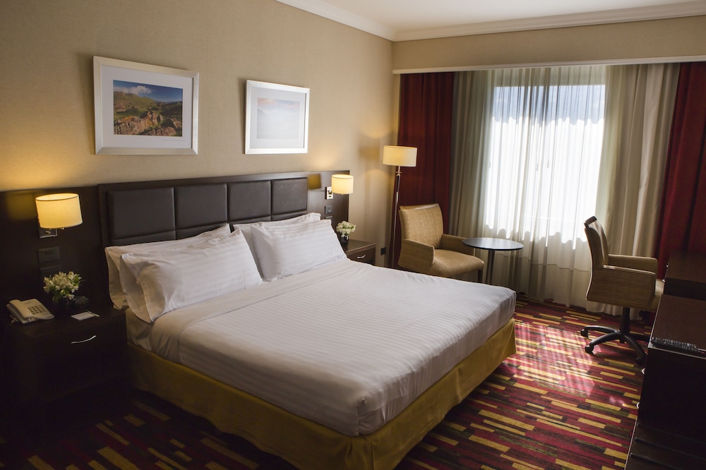 Holiday Inn Buenos Aires Ezeiza Airport 22/59