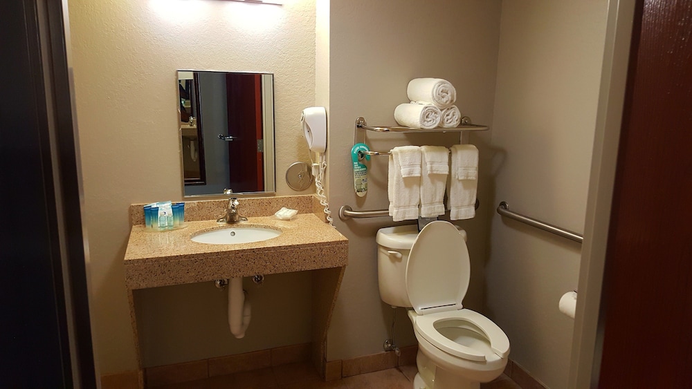 Best Western Auburndale Inn & Suites 18/42