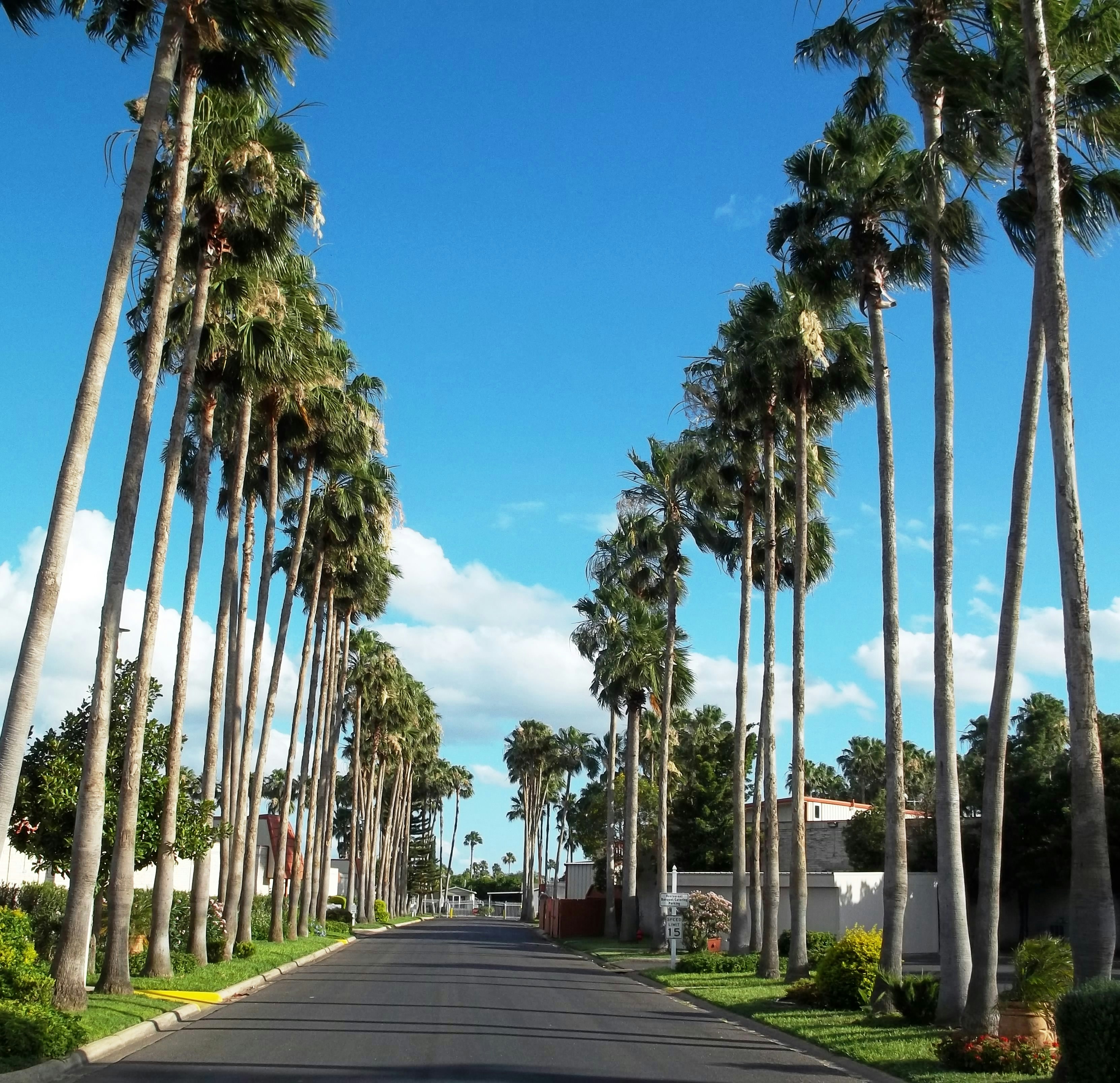 Victoria Palms Inn Suites 31/31