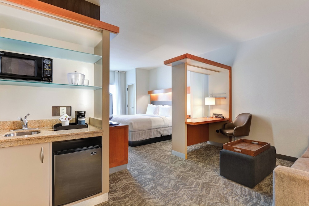 جناح بسرير كينج مع سرير سحّاب إضافي لذوي الإعاقة، Springhill Suites Shreveport-Bossier City/Louisiana Downs 5/5