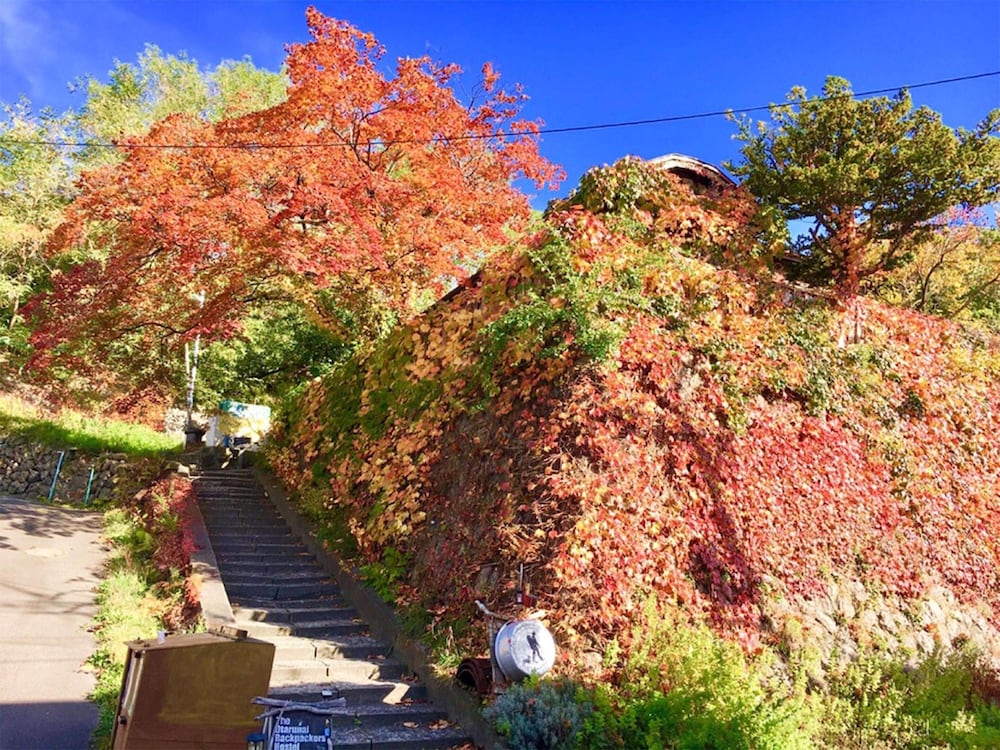 Otarunai Backpackers' Hostel Morinoki 43/48