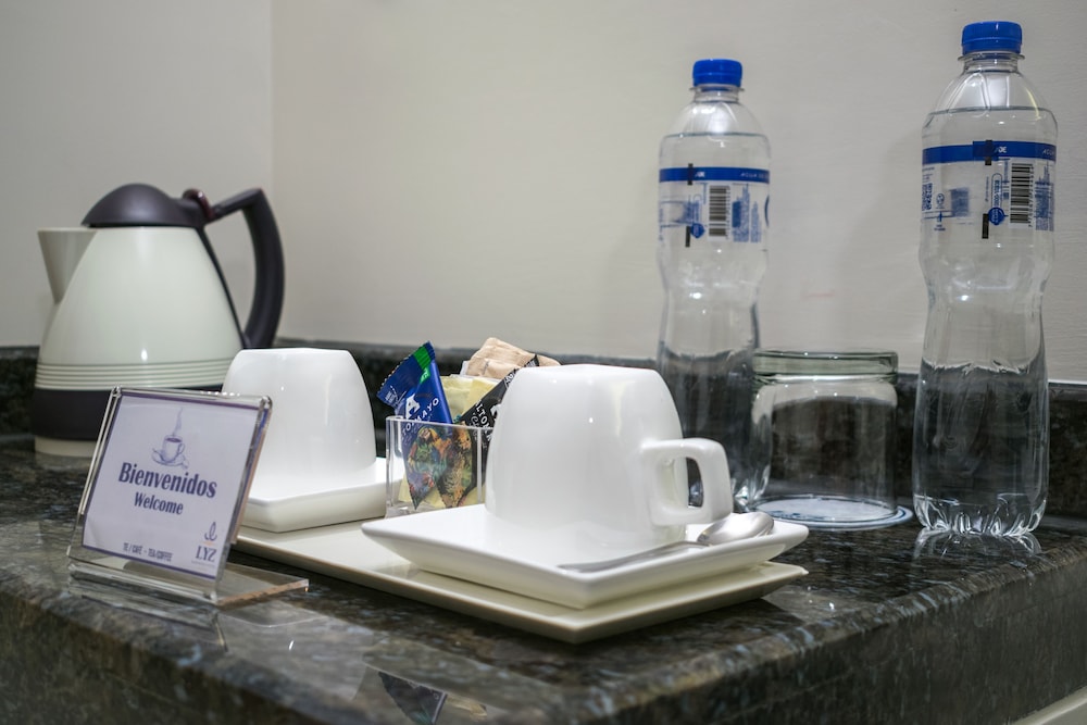 Lyz Business Hotel 25/44