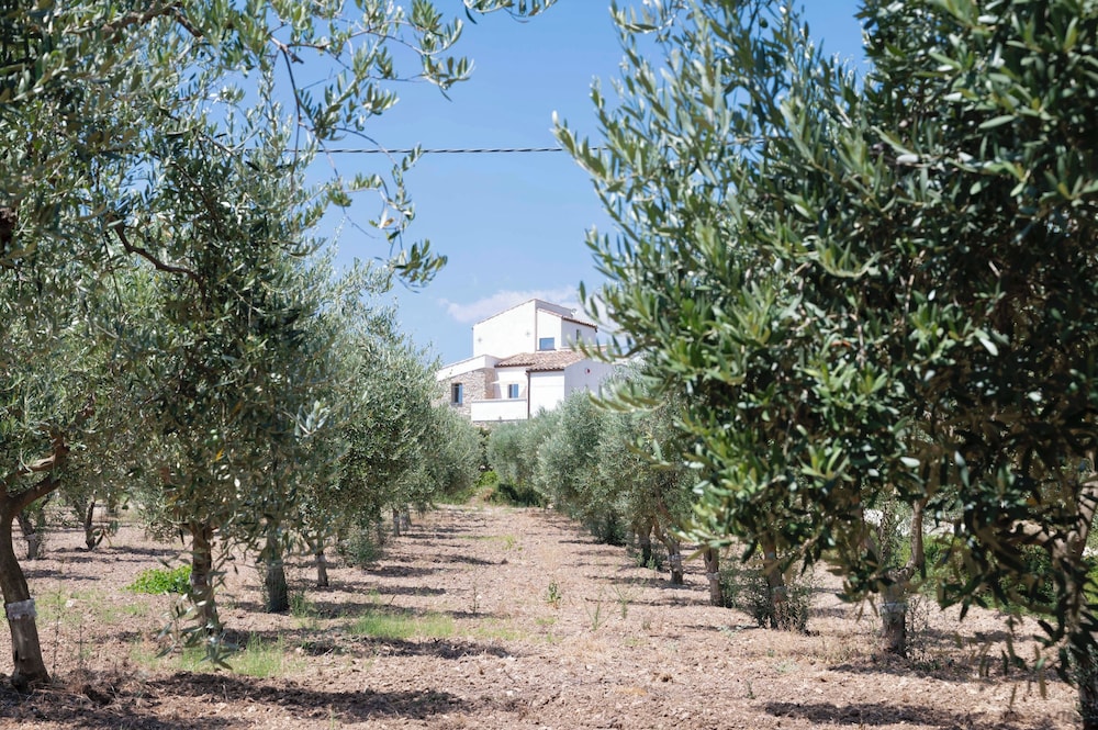 Oikos In Terre Di Zaccanello 40/50