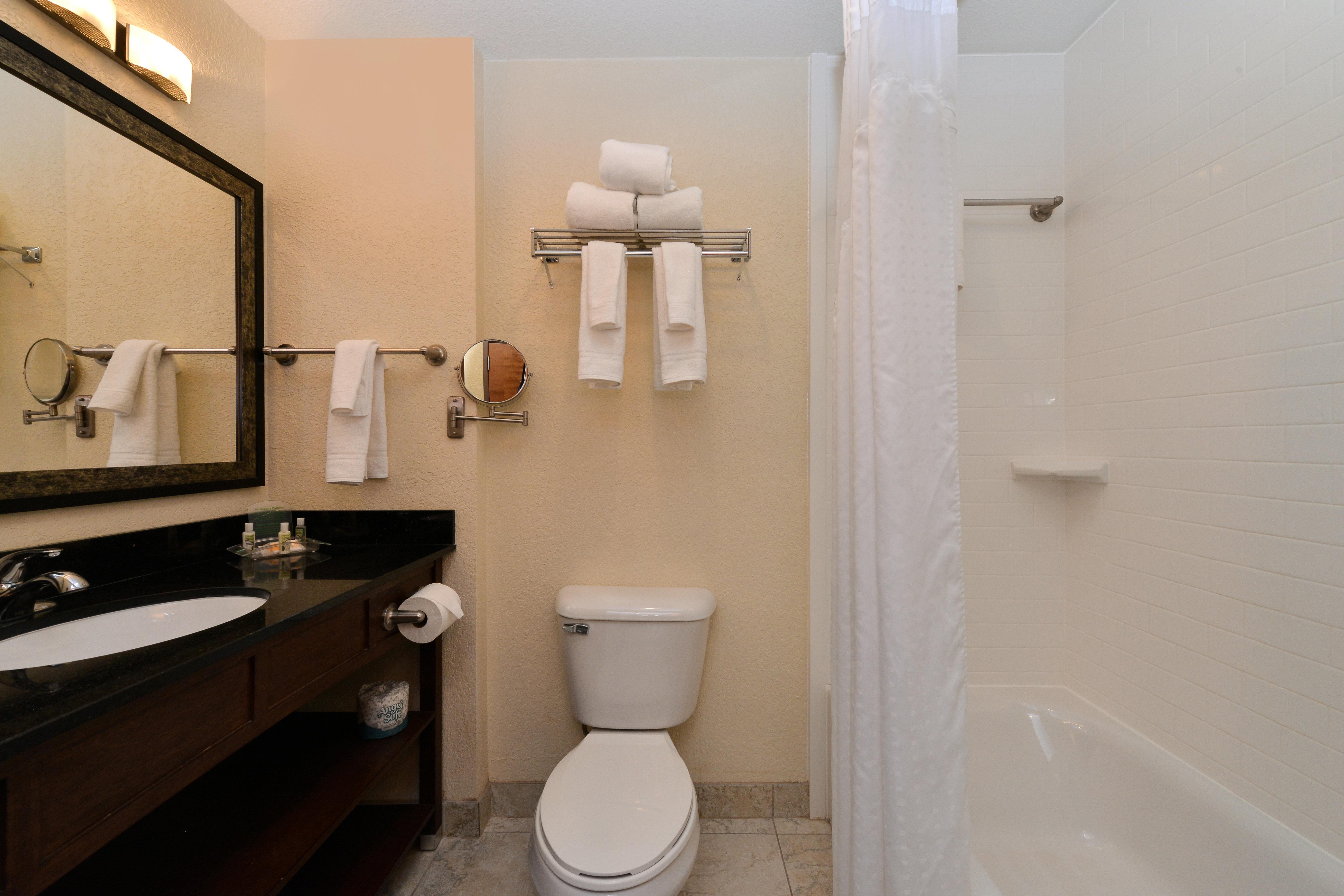 Holiday Inn Montgomery Airport South 79/80