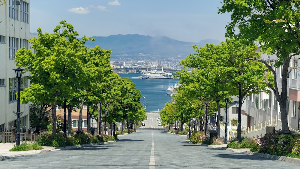Gran Palette Hakodate 42/50