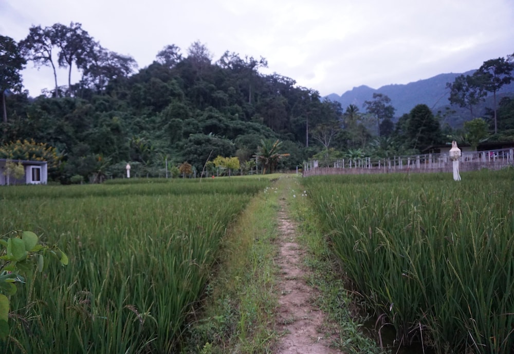Villa De View Chiang Dao 25/39