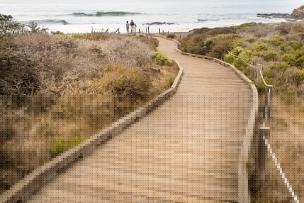 Sea Otter Inn 6/63