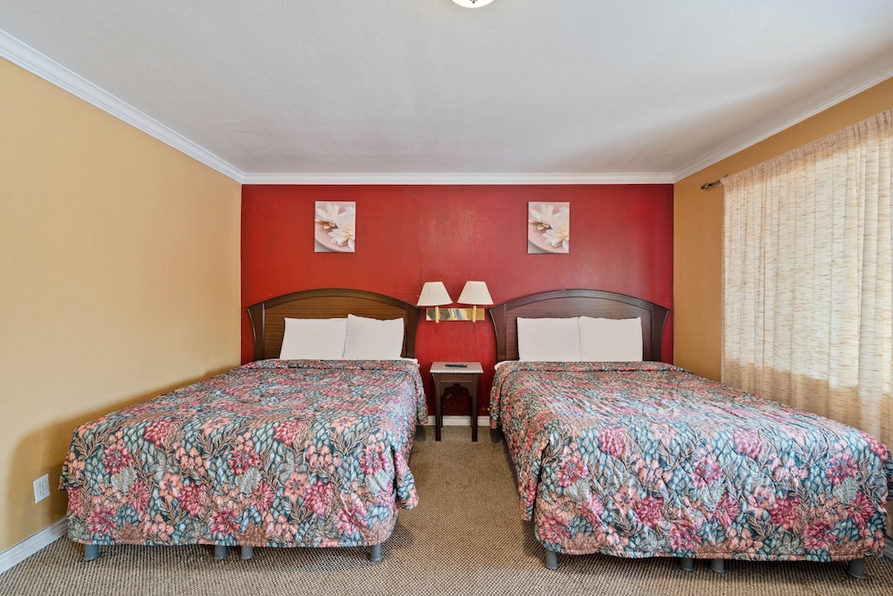 OYO Hotel Beeville US 181 8/64