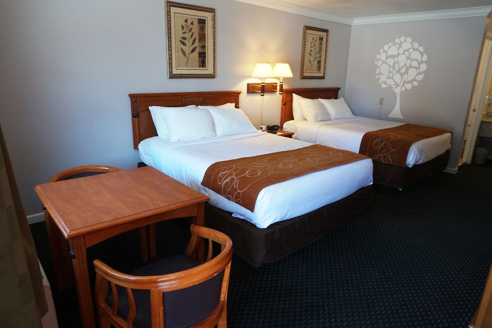 Journey Inn 15/45