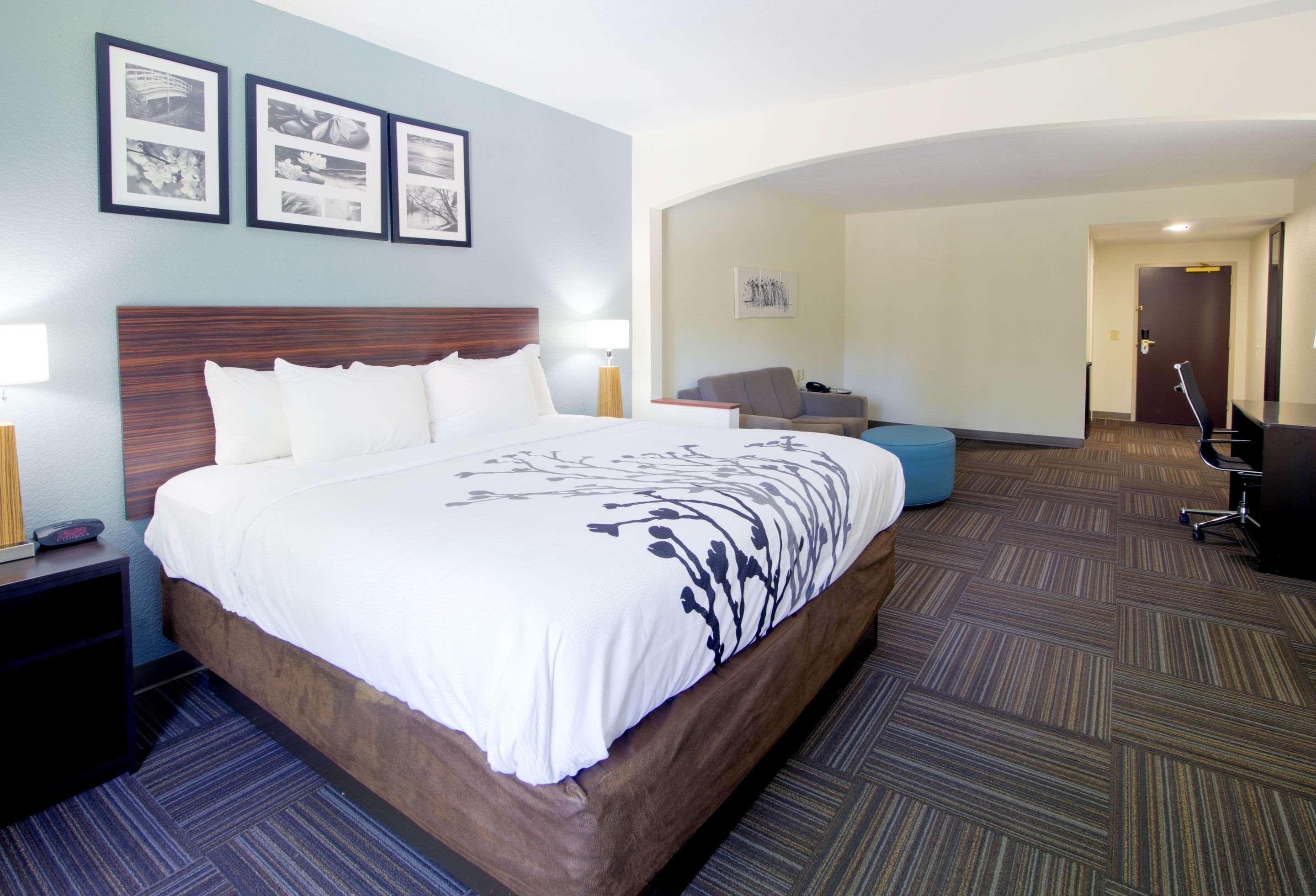SUITE, KING BED