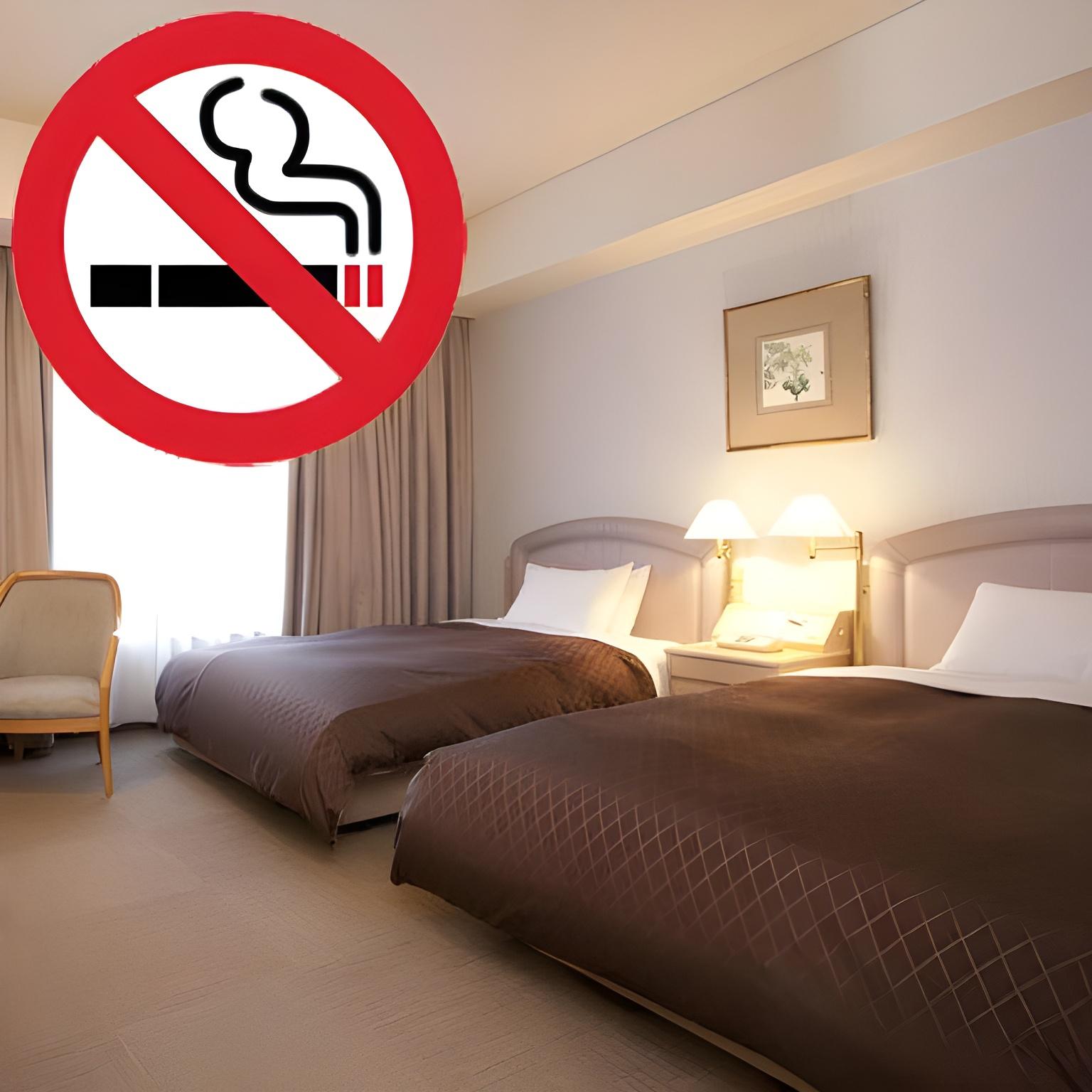 Standard, Twin Beds, Night View