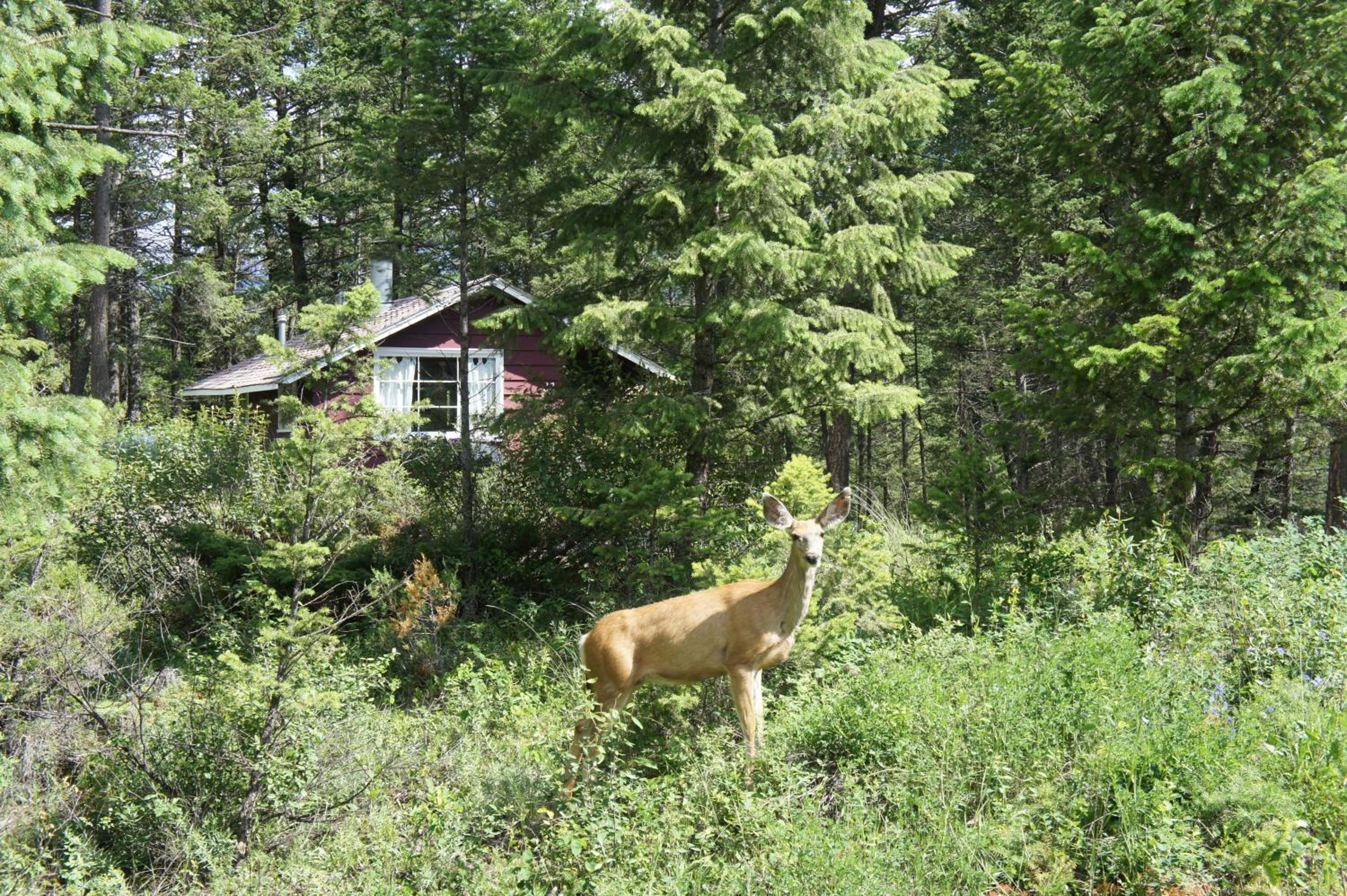 Fairmont Mountain Bungalows 47/50