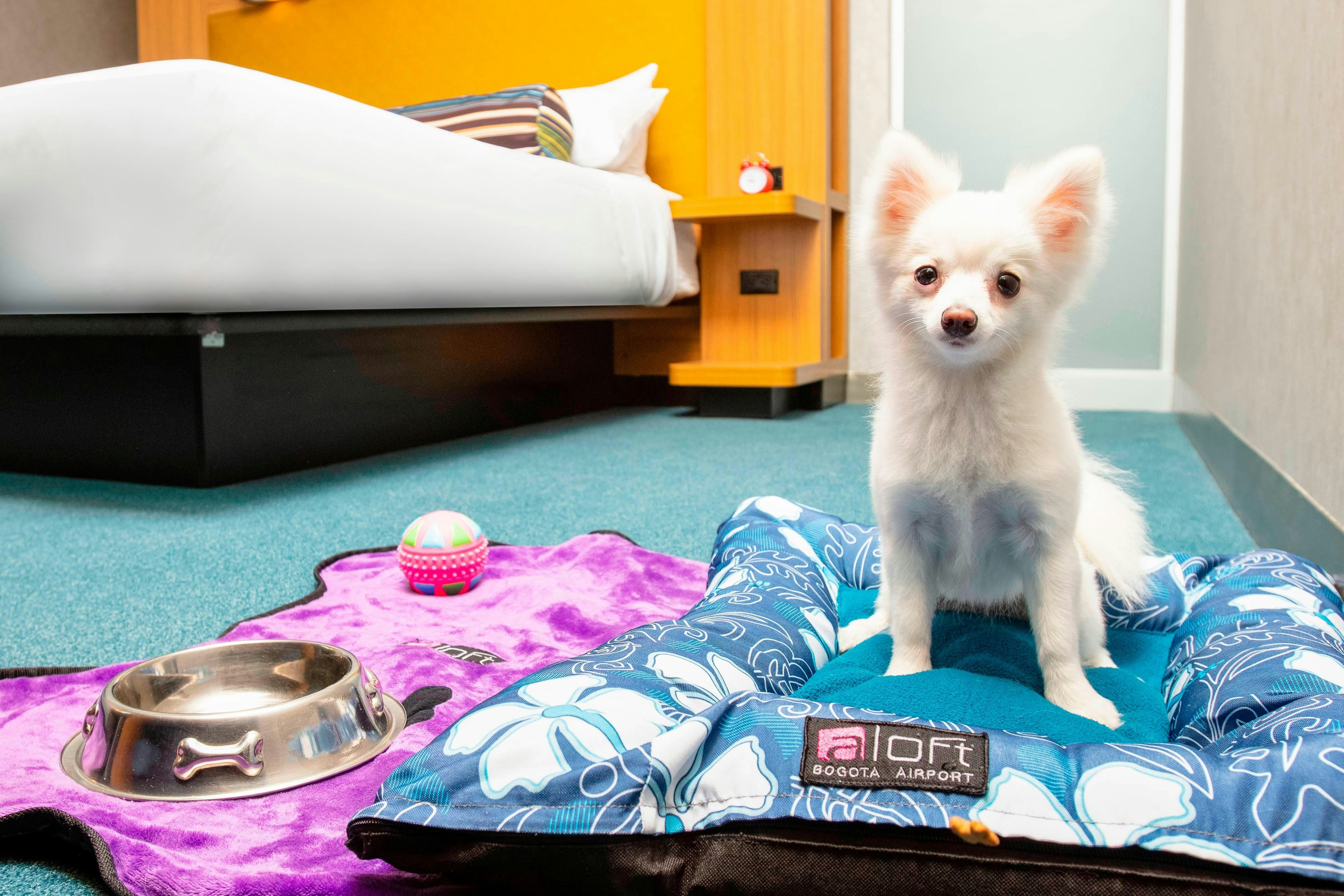 ALOFT BOGOTA AIRPORT 4/15