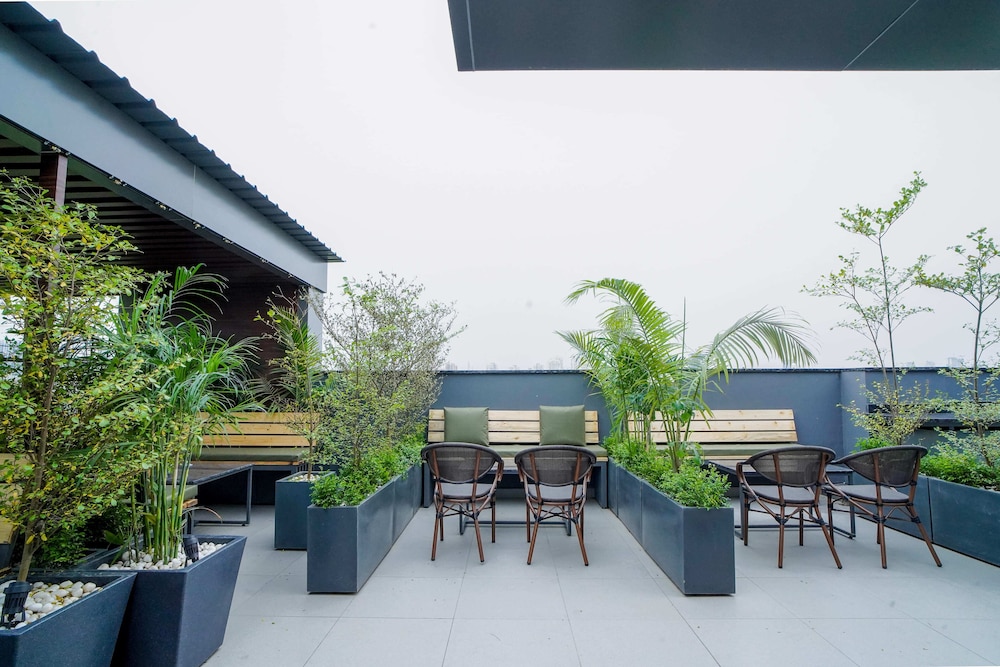 Saltstayz Basil - Near Golf Course Road 34/50