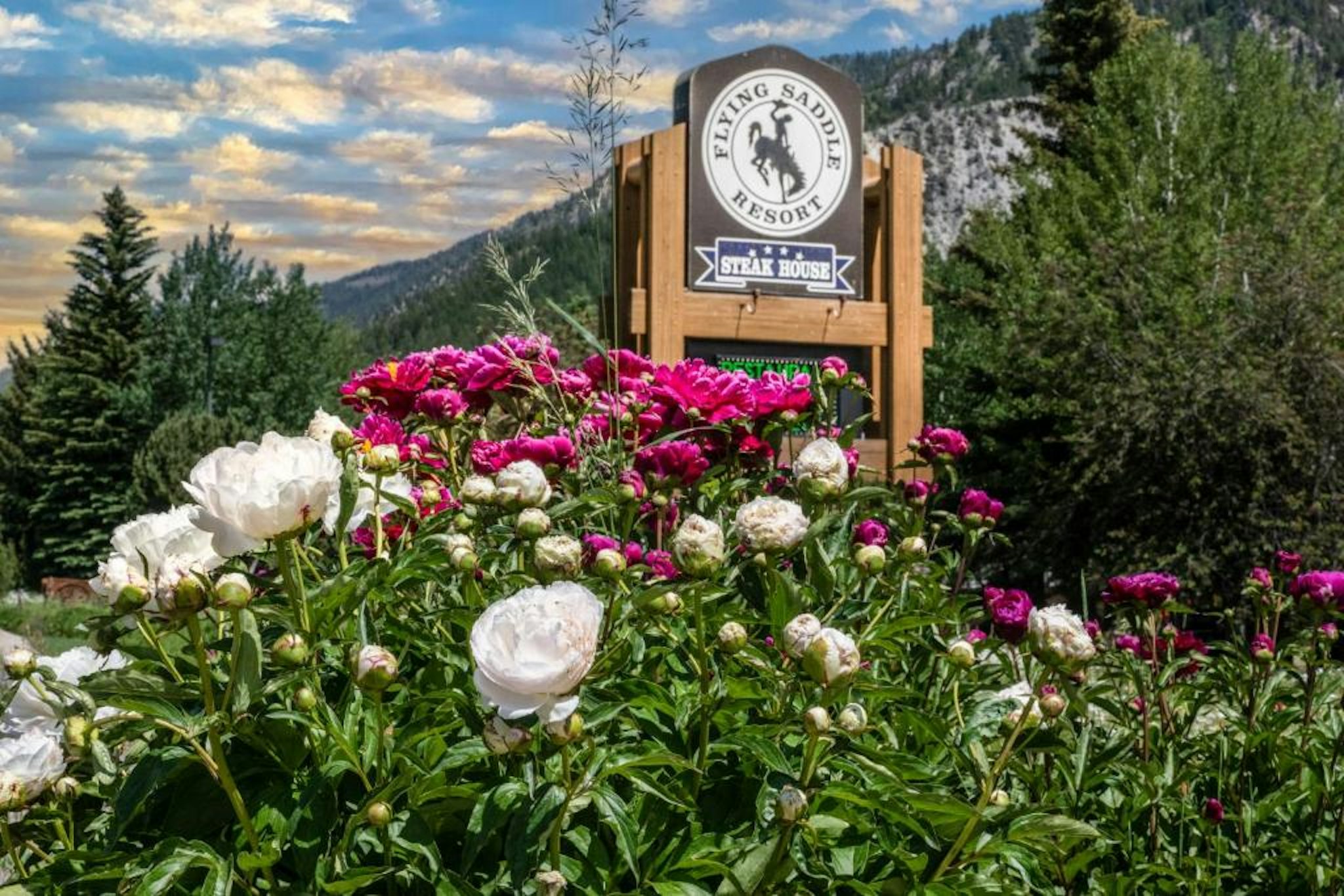 Flying Saddle Resort 14/16