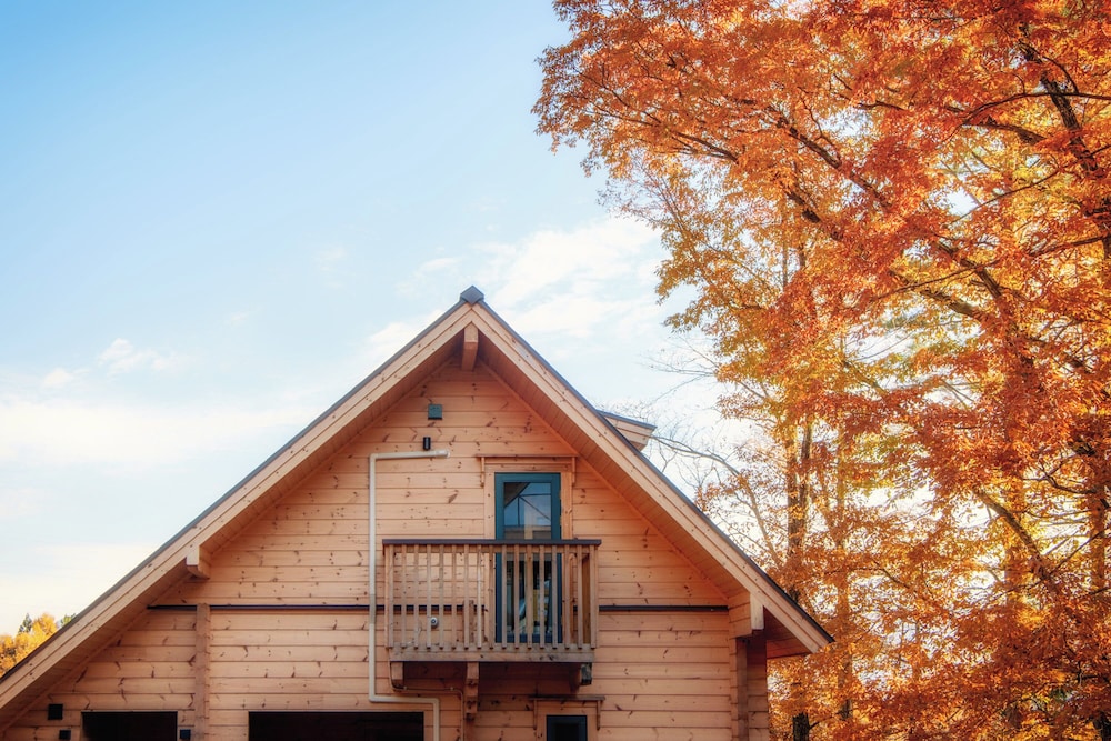 Wadano Woods Chalet 3/45