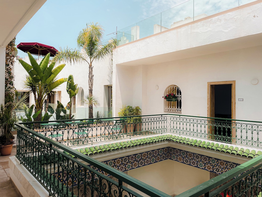 Riad Zyo 4/50