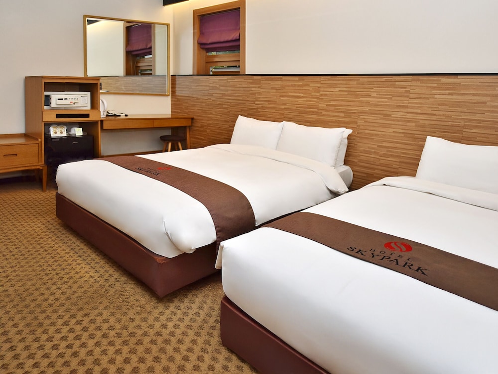 Hotel Skypark Myeongdong I 31/50