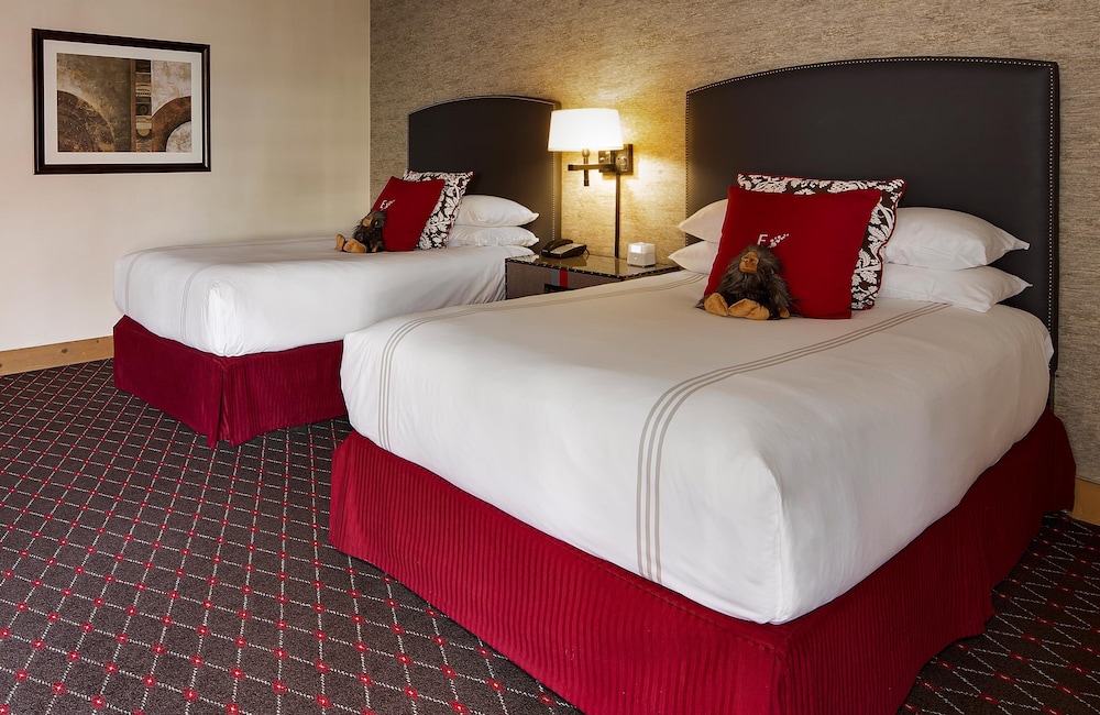SUITE, DOUBLE BED, CITY VIEW