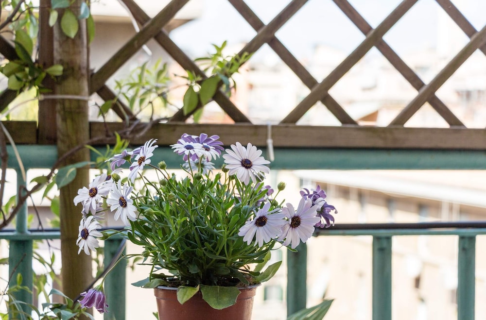 Prati Resort Guesthouse 44/50