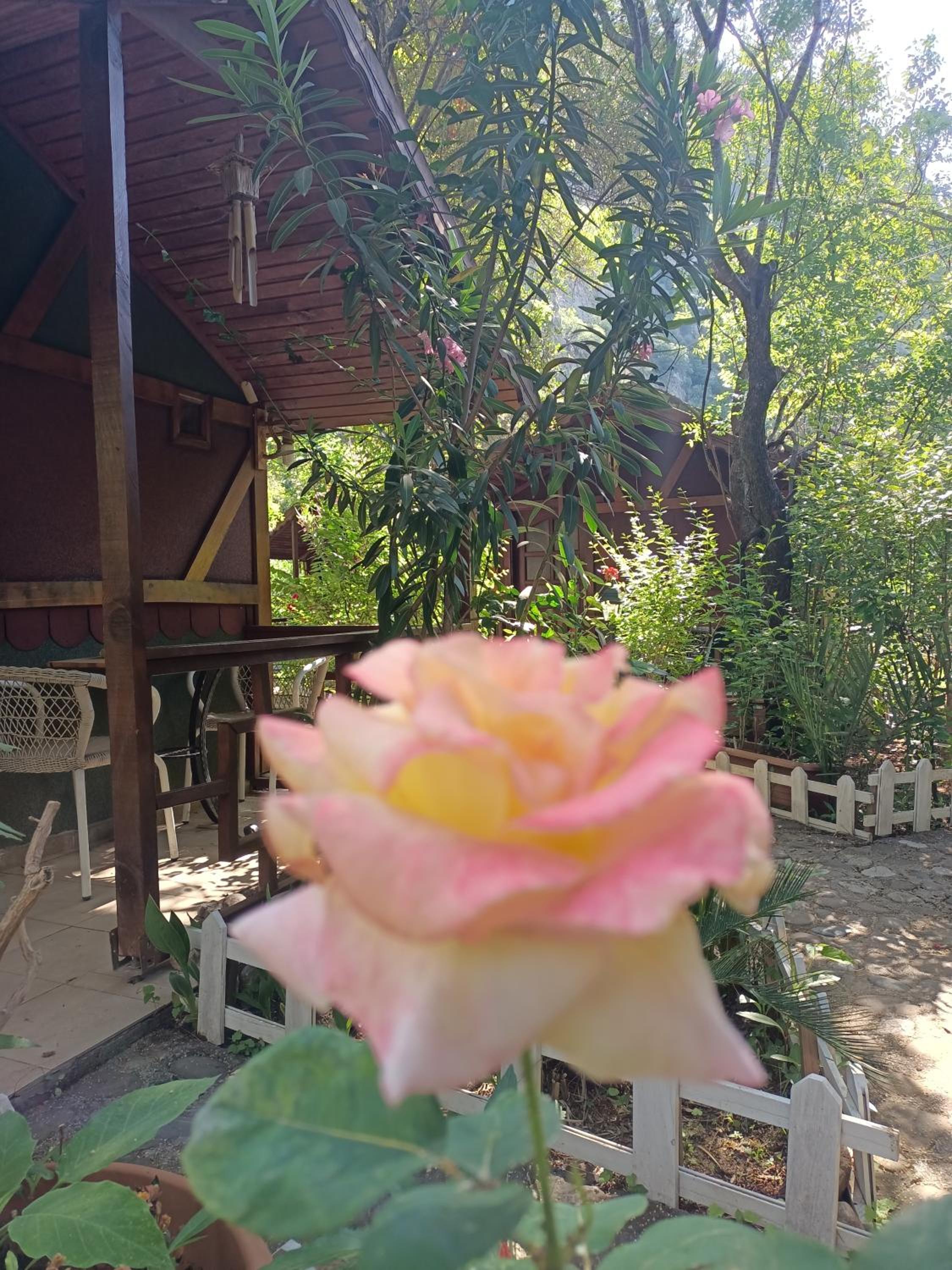 Canario Pension Bungalow 50/50