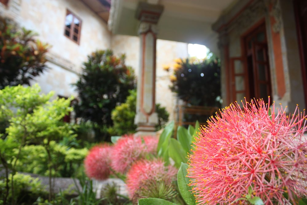Rambutan Boutique Hotel 39/52
