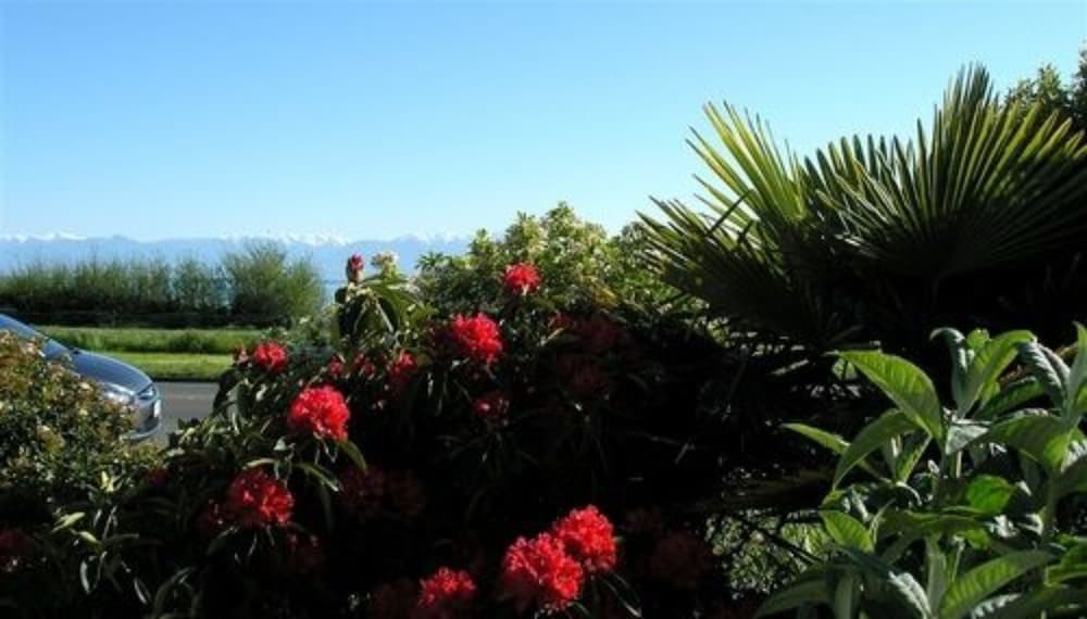 Dashwood Manor Seaside Bed & Breakfast 39/50