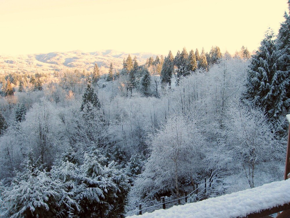 MapleRidge House: A BnB For All Seasons 39/50