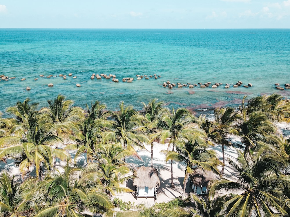 El Dorado Royale A Spa Resort All Inclusive 79/83