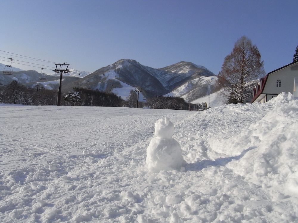 Hakuba Tsugaike Ski Slope Side Espoir Misawa 37/41