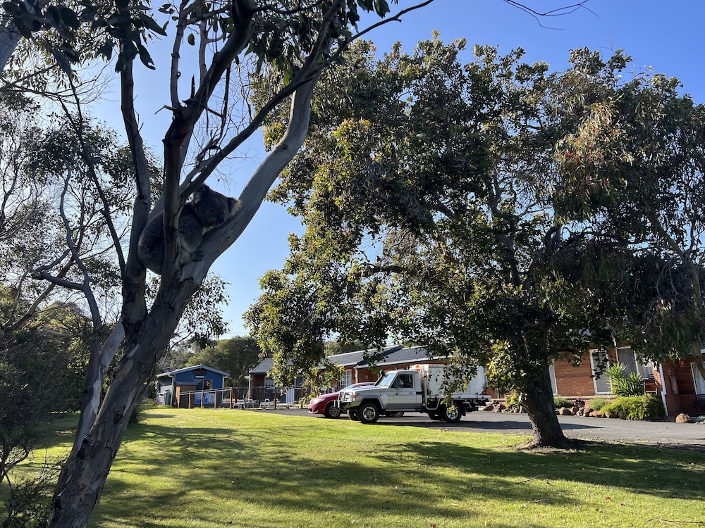 PORT CAMPBELL MOTOR INN 40/50