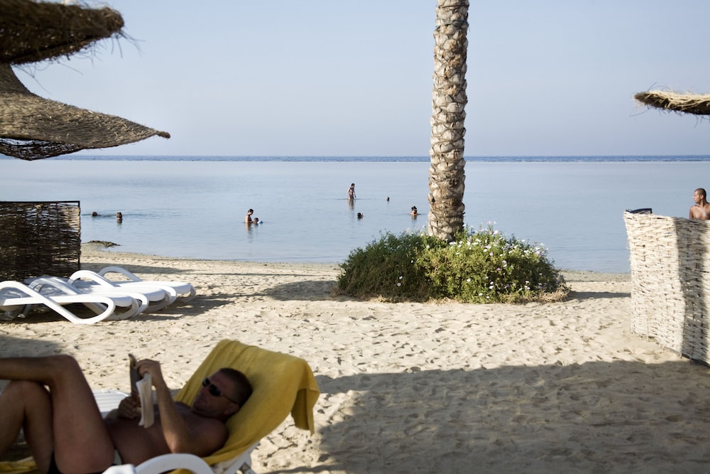 Blend Elphistone Resort Marsa Alam 75/80