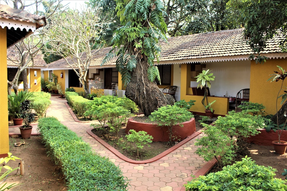 Granpas Inn Bougainvillea 47/50