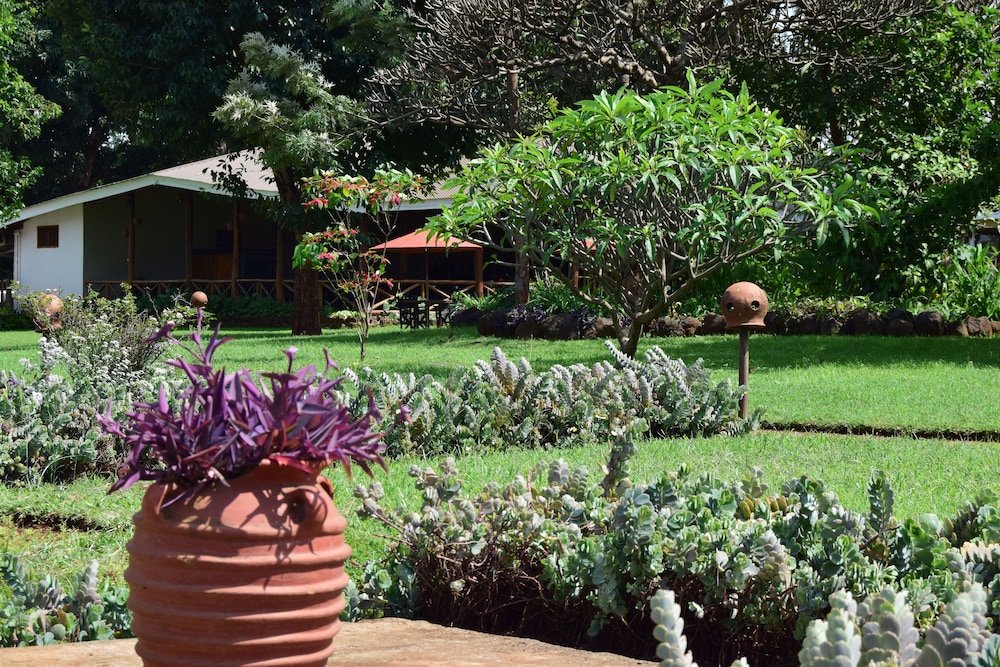Ameg Lodge Kilimanjaro 29/36