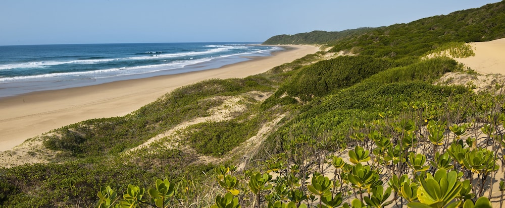 Thonga Beach Lodge 30/50