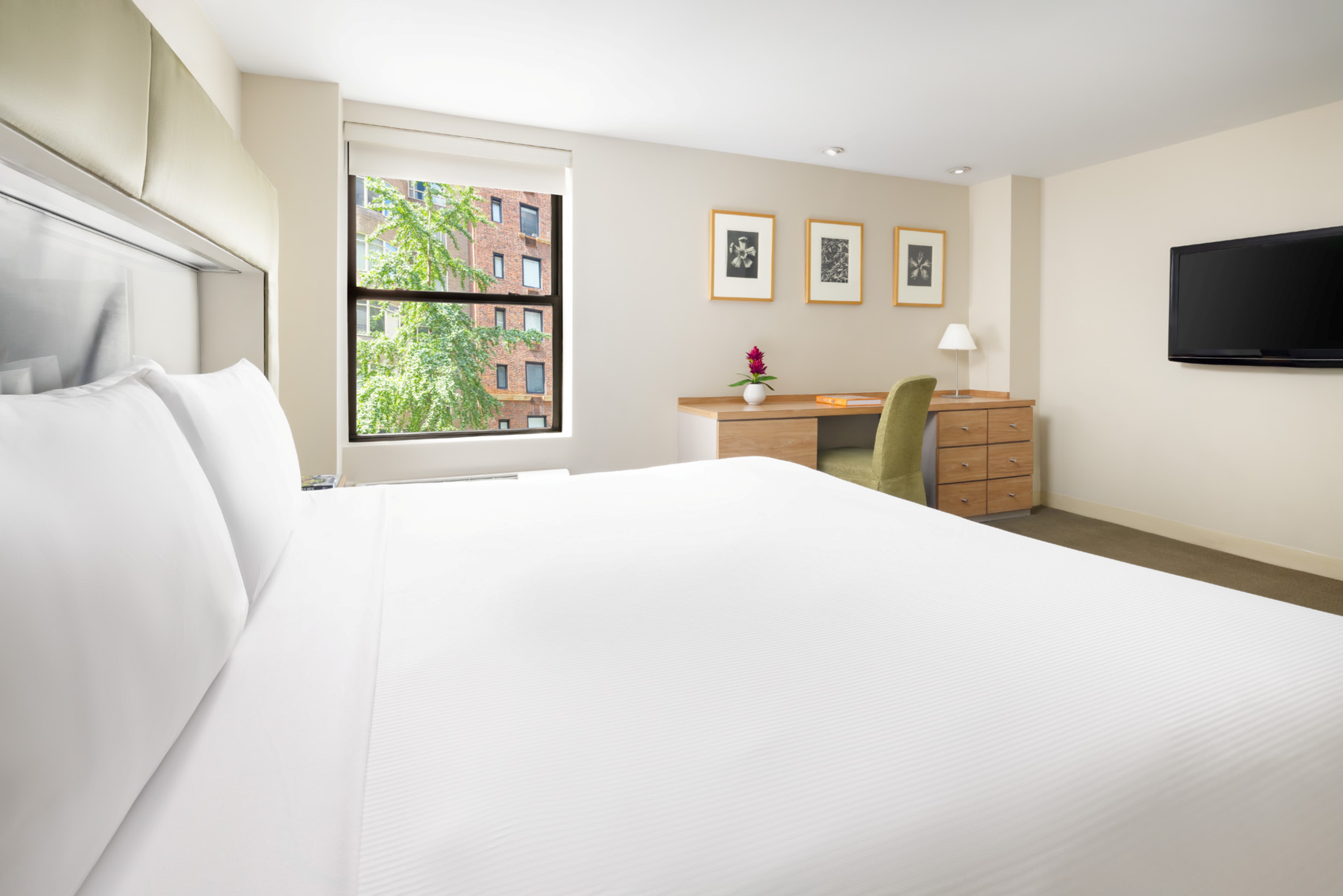 Room, King Bed