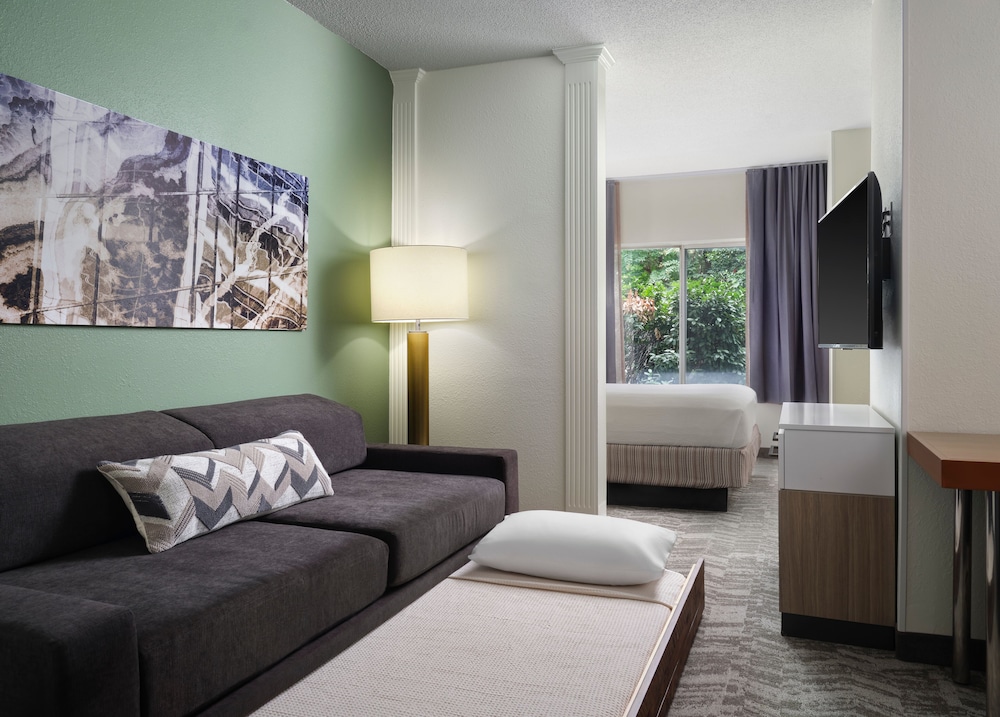 Springhill Suites By Marriott Metro Center 34/47