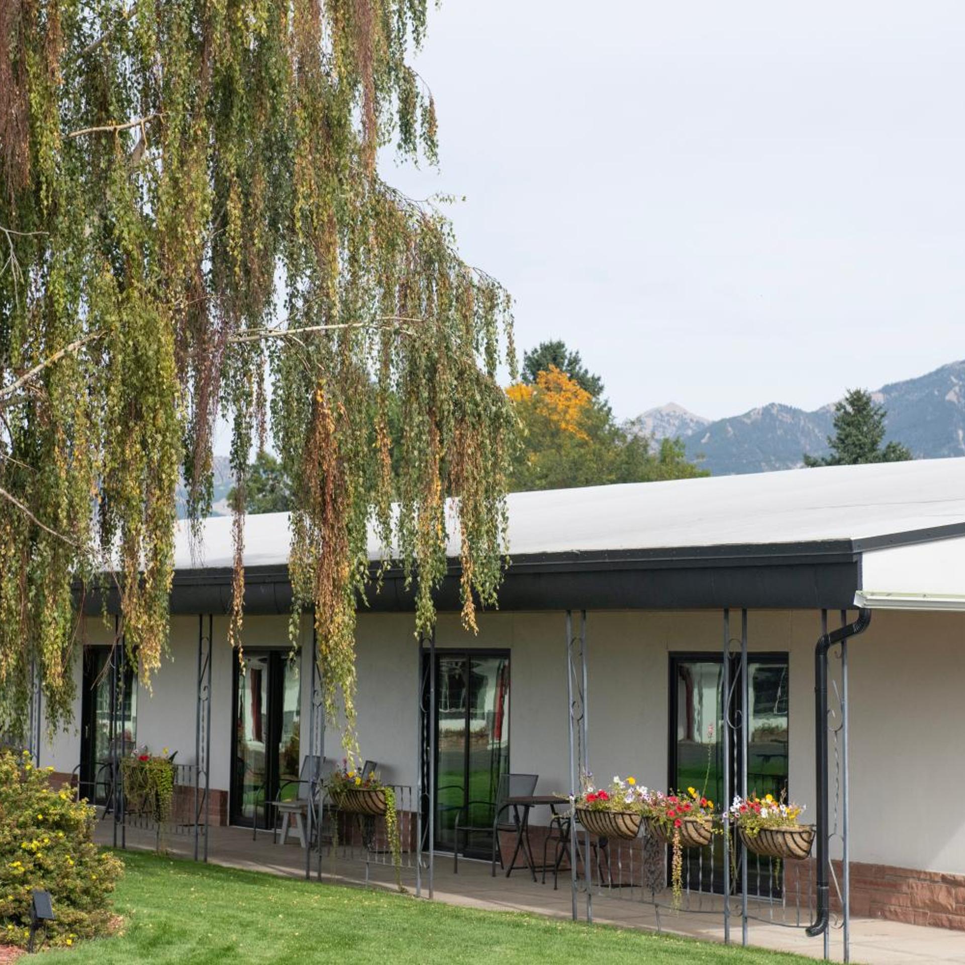 The Sapphire Motel 6/50